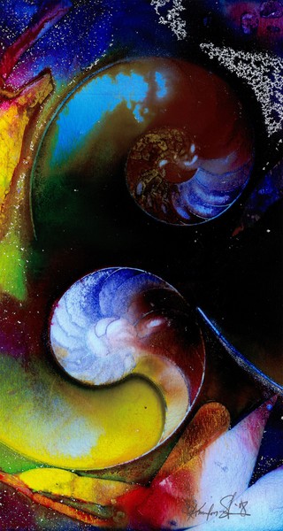 Nautilus Shell #70