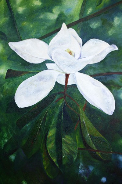Southern Lady