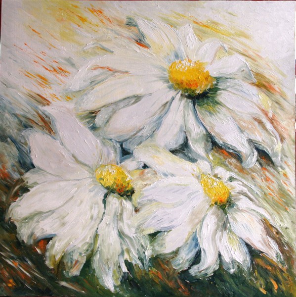 marguerites
