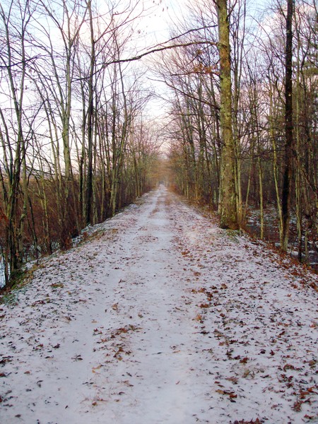 Basha Kill Area Walking Trail, First snow