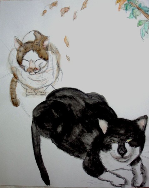 Cats Train