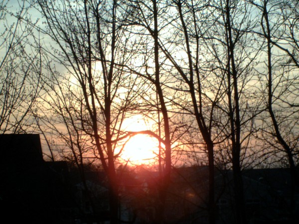 The sun ensnared