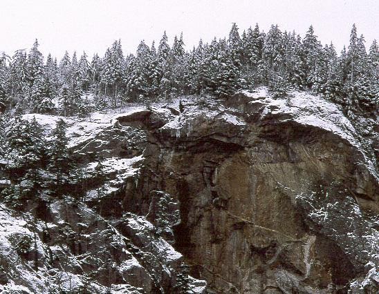 Evans Notch Frosted Trees