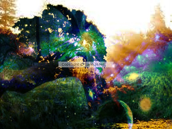 Landscape 7