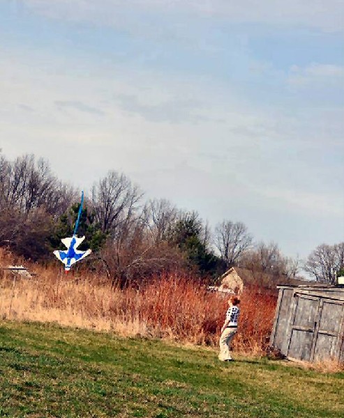Crash Landing