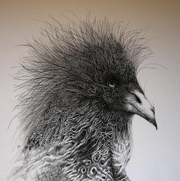 Big Bird