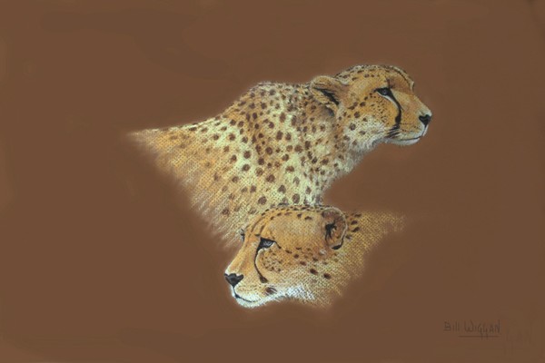 Pastel - Two Cheetahs 