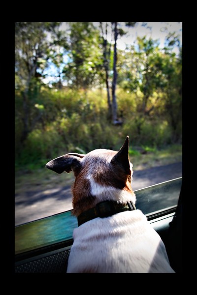 Catching the Breeze