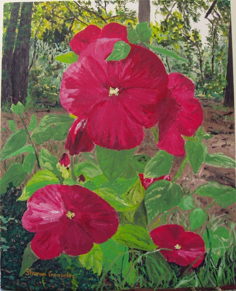 Hibiscus #3