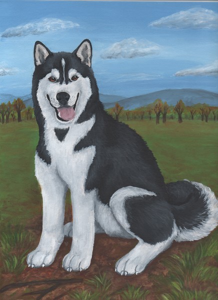 Husky