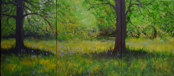 Bluebell Wood 