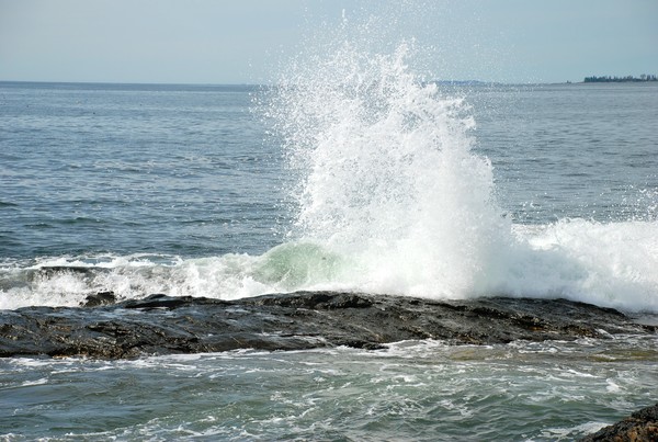 Ocean Swells 