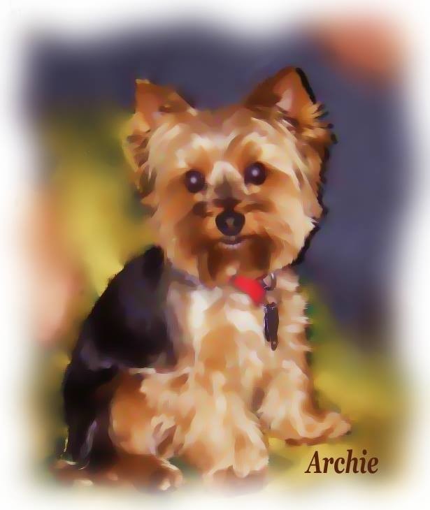 Archie