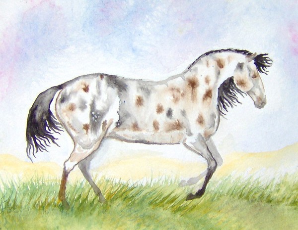 Paint Horse