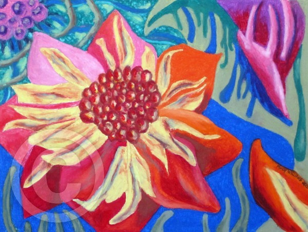 The Blossom