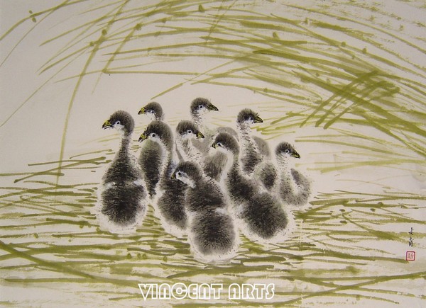 Small gooses