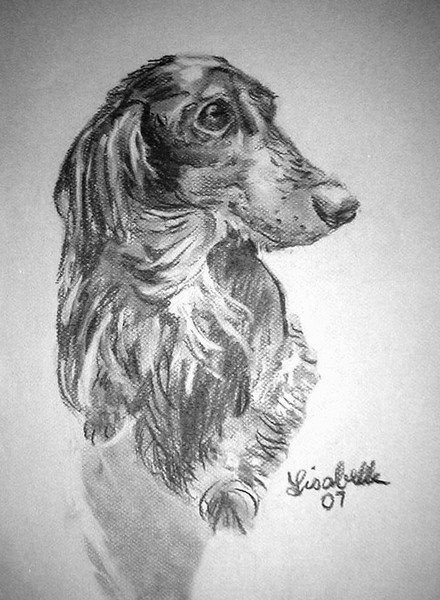 For Kris Pet Portraits by Lisabelle