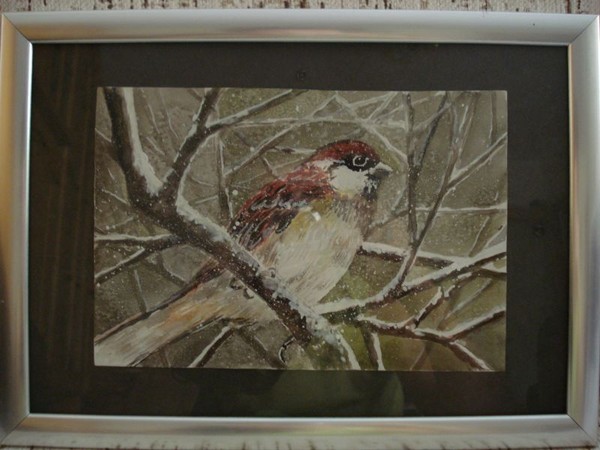 Sparrow in wood