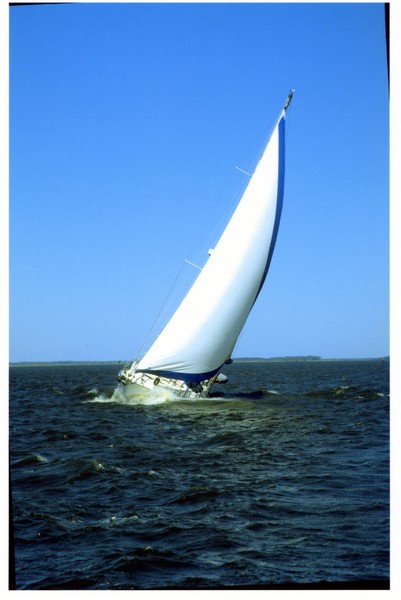 Sailboat 