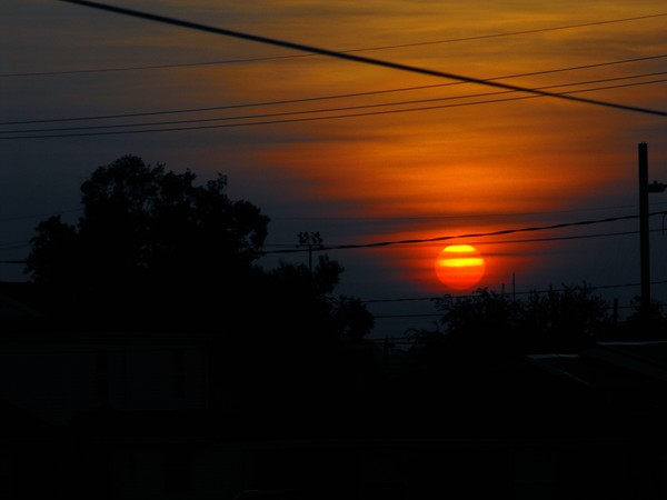 Summer sunrise 