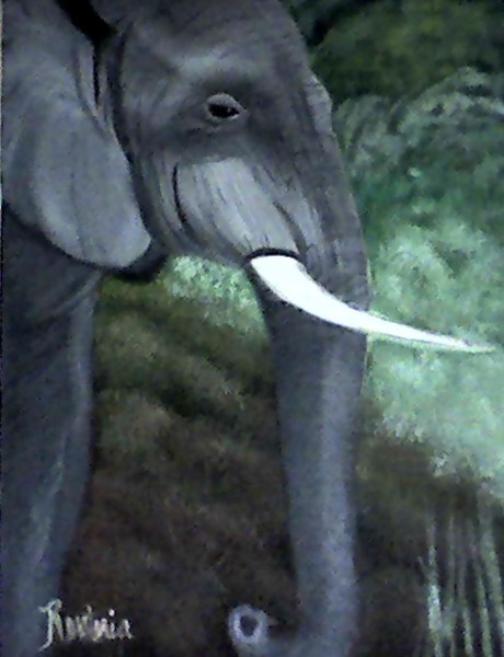 Elephant portrait