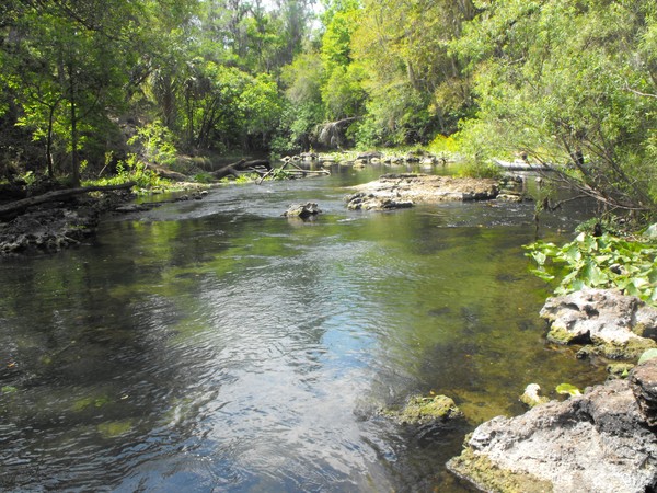 Hillsborough river