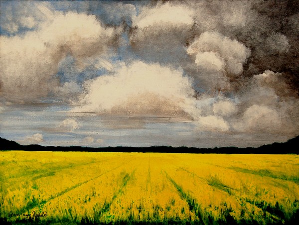 Yellow field