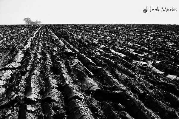black ground