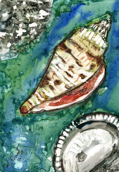May seashells