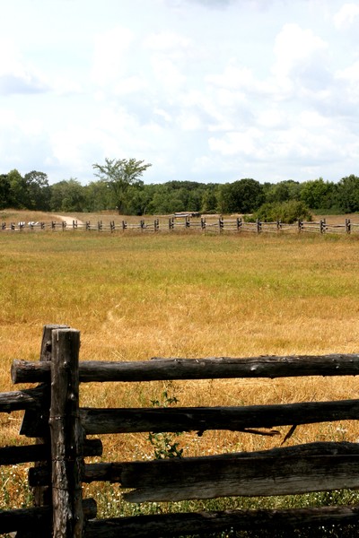 polyana-farm