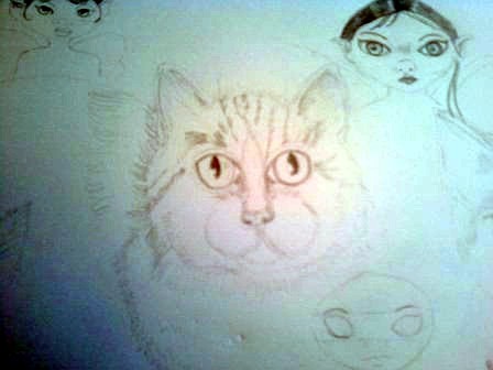 Cat sketch