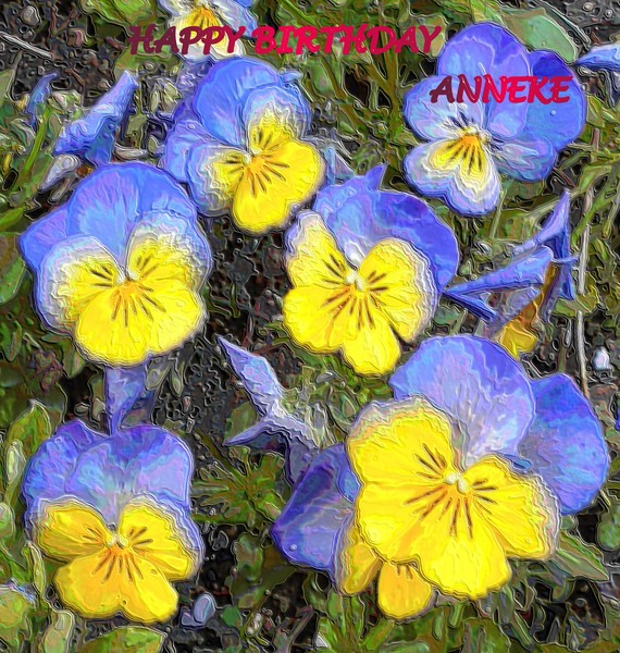 HAPPY BIRTHDAY, ANNEKE