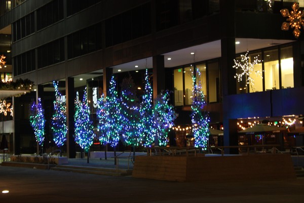 URBAN FOREST
