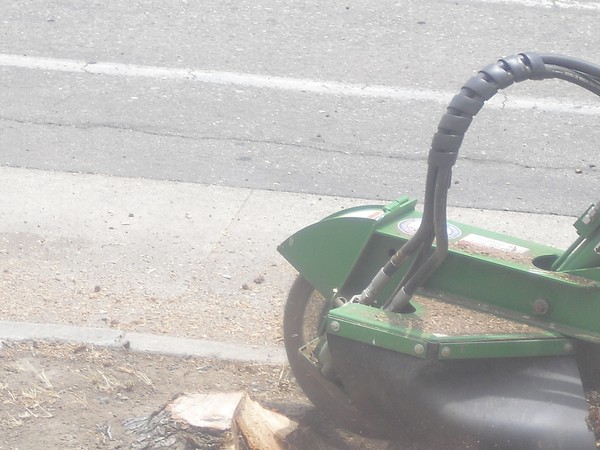Stump Grinding