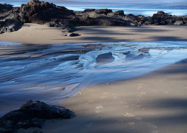 The Beauty Of The Beach