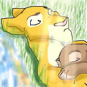 Taking a doze in the sunshine
