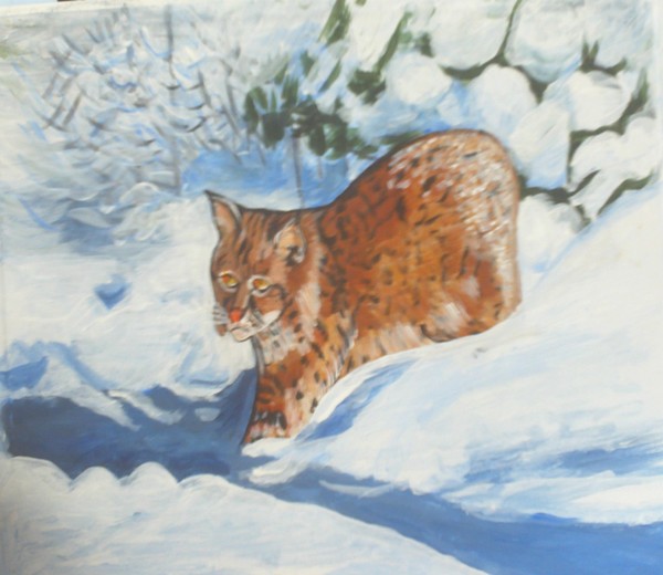 BOBCAT IN SNOW