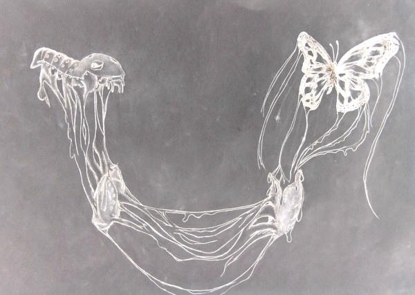 metamorphosis