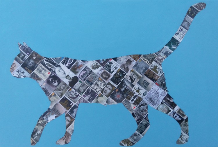 Grey Cat