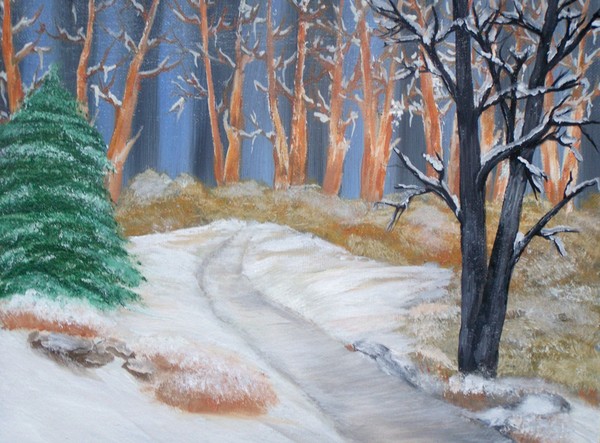 forest winter
