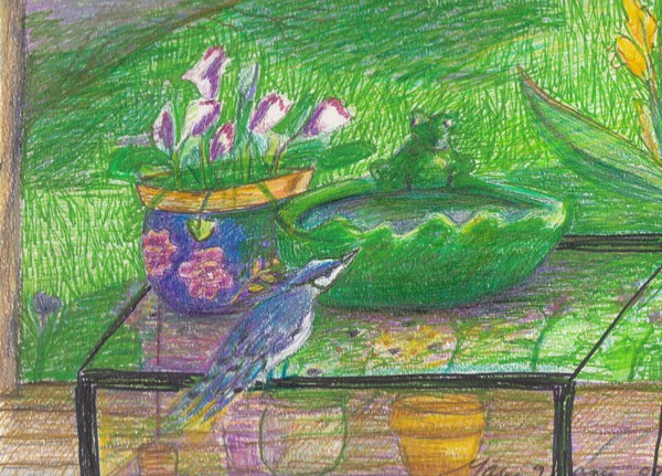 Marys_Garden  1