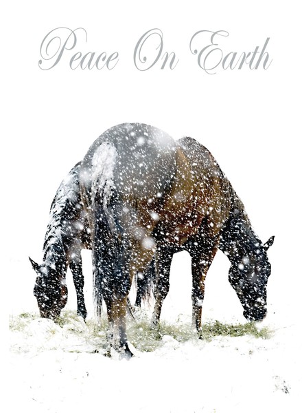 Peace on Earth