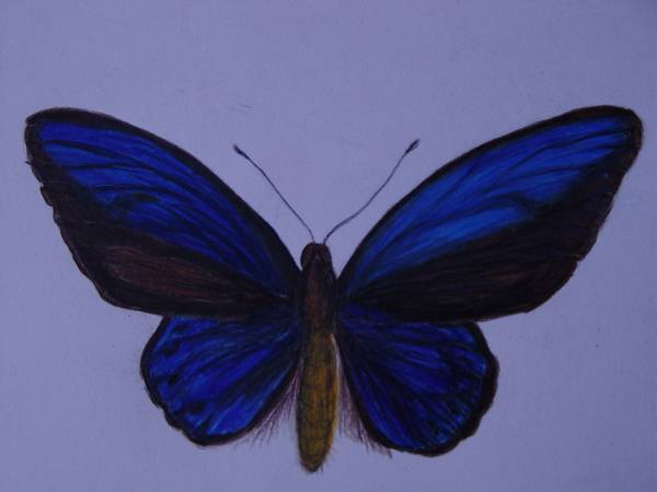 blue butter