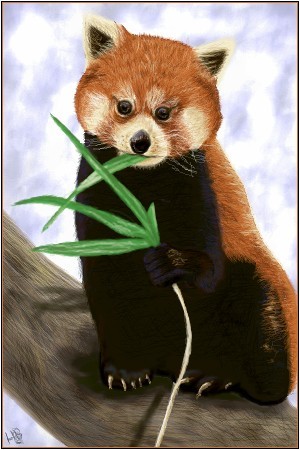 Firefox