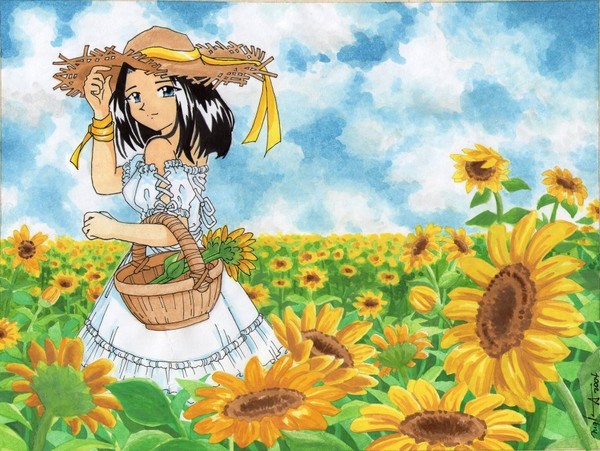 sunflowers