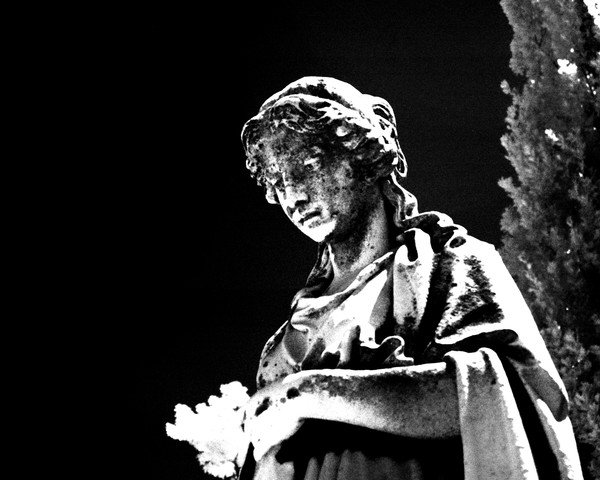 Angel infrared