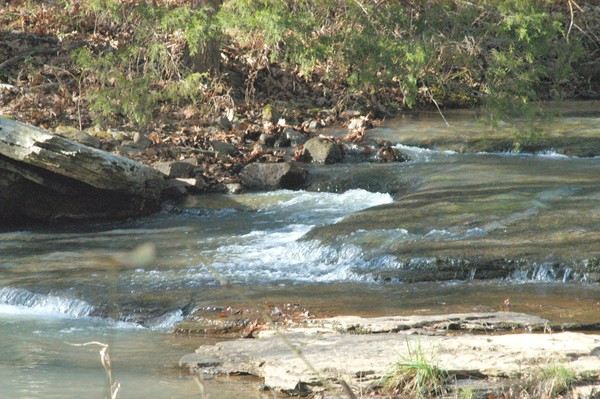 Mtn. Creek