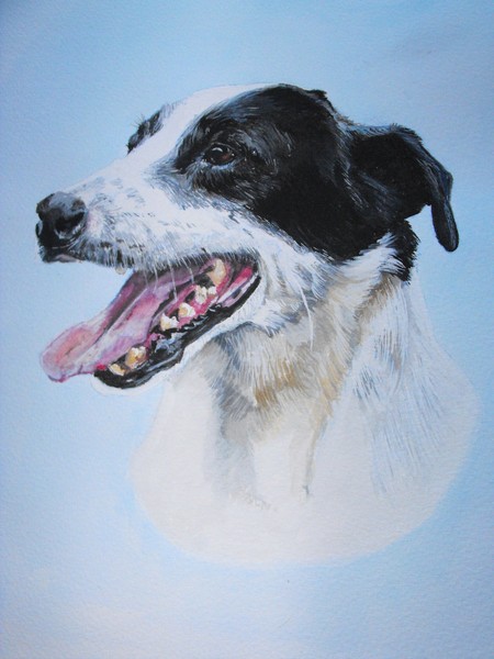 Jack Russell