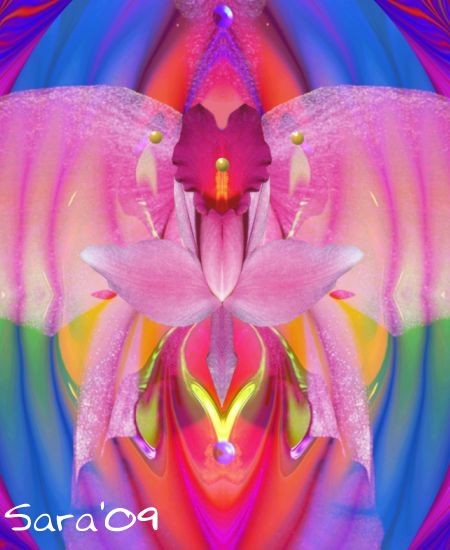 Dreaming Orchid