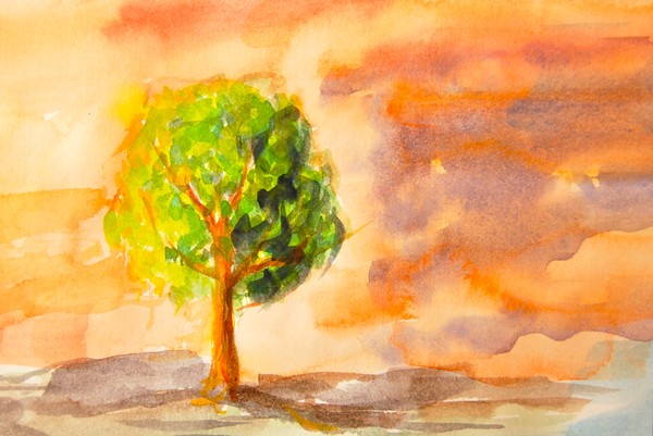 Tree at Sunset